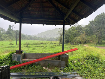 Agricultural/Farm Land for Sale in Mudigere, Chikmagalur (6 Acre)