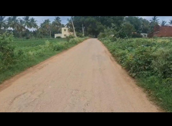 Agricultural/Farm Land for Sale in Doddaballapur, Bangalore (24 Guntha)