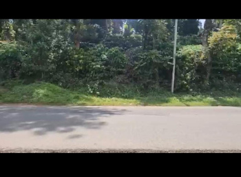 Agricultural/Farm Land for Sale in Virajpet, Kodagu (6 Acre)