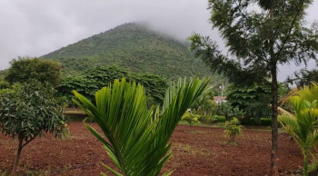 Agricultural/Farm Land for Sale in Kollegal, Chamarajanagar (10.5 Acre)