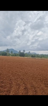 Agricultural/Farm Land for Sale in Doddaballapur, Bangalore (55 Guntha)