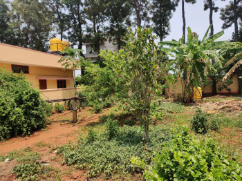 Commercial Lands /Inst. Land for Sale in Nelamangala, Bangalore (5535 Sq.ft.)
