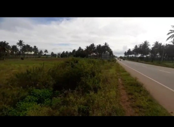 Agricultural/Farm Land for Sale in Kadur, Chikmagalur (3 Acre)