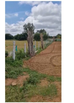 23 Guntha Agricultural/Farm Land for Sale in Dodda, Bangalore