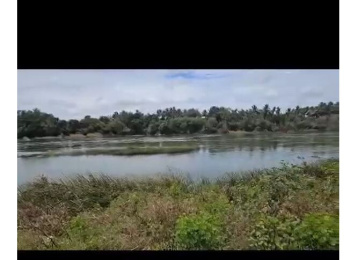 3 Acre River-Facing Areca Plantation – Hassan