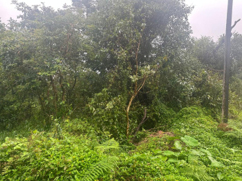 20 Gunta Land for Sale – Mudigere, Chikkamagaluru District