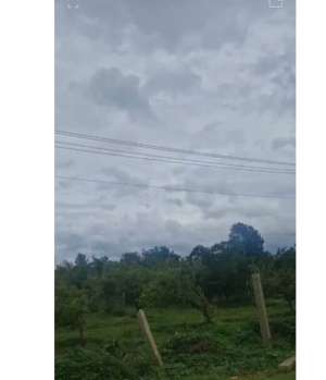 4 Acre Chikku & Guava Plantation – Chikkaballapura