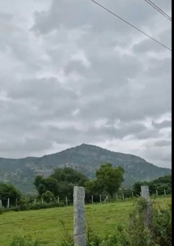 Residential Plot for Sale in Doddaballapur, Bangalore (11 Guntha)