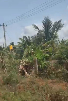 ✨ Prime 6 Acres for Sale ✨