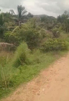 8 Acres Premium Farm Land for Sale in Channapatna