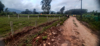 12 Guntha Agricultural/Farm Land for Sale in Aldur, Chikmagalur