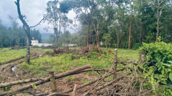 3 Acre Residential Converted Land – Chikkamagaluru City