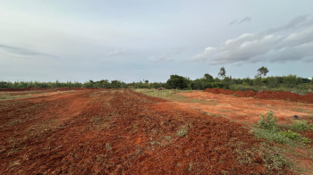 Prime 1-Acre Land for Sale in Hoskote Taulk