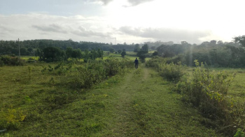 Agricultural/Farm Land for Sale in Alur, Hassan (3 Acre)