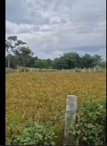 1.30 Acre Agricultural Land for Sale – Doddaballapura