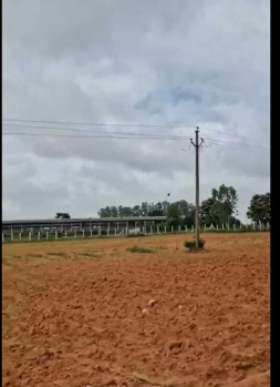 37 Gunta Highway-Facing Land for Sale – Near Nandi Hills