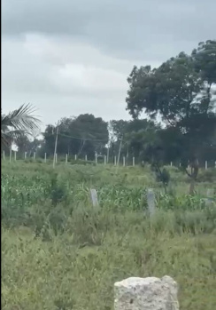 14 Acre Land for Sale – Near Gauribidanur