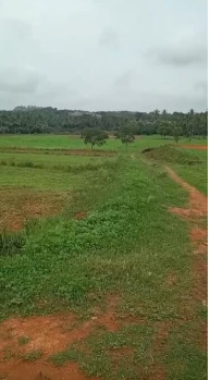 10 Acre General Property for Sale – Near Ramanagara