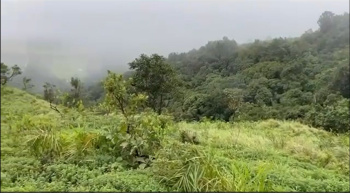 5 Acre Land for Sale – Gowdahalli, Mudigere