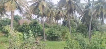 🌴 Farm Land for Sale – Kanakapura City 🌴