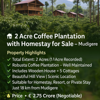Commercial Converted Land for Sale – Near Sakarayapatna