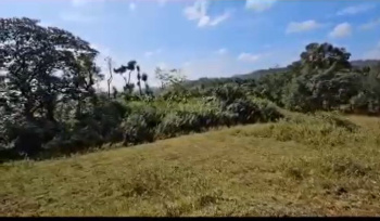 25 Acre neglected plantation / vacant land  – Near Sakleshpur (Hassan District)