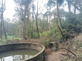 2.5 Acre Converted Land for Sale – Mudigere