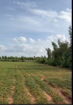 30 Gunta STRR attached Prime Land for Sale– Doddabalapura
