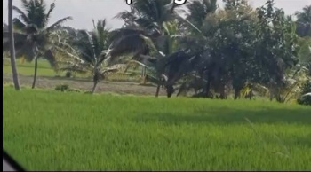50 Gunta Land for Sale – Near Maddur City