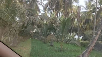 2 Acre 20 Gunta Land for Sale – in Kanakapura