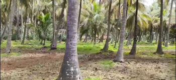 13 Gunta Land for Sale – Aralalu Sandra Village, Kanakapura