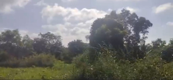 Commercial Site for Sale – Gowribidanuru (NH-69)