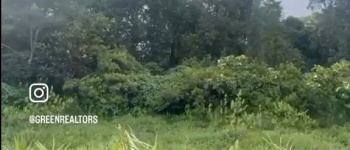 6 Acre Land for Sale – Devaramane, Mudigere