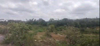 7 Acre 13 Gunta Agricultural Land for Sale – Kutgal Hobli, Ramanagara