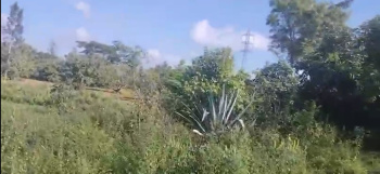 1 Acre Agricultural Land for Sale – Kutgal Hobli, Ramanagara