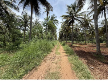 30 Acres of Land for Sale – Hunasuru, Mysore District