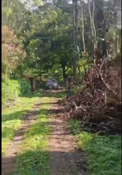 7 Acre Scenic Coffee Plantation with Water Source for Sale – Yadavanadu, Coorg