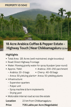 18 Acre Arabica Coffee & Pepper Estate – Highway Touch | Near Chikkamagaluru (22 km)