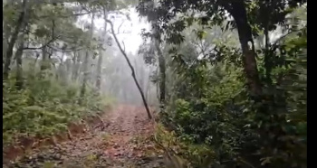 42 Acre land with Natural Waterfall – Near Malhalli Falls 🌧️☕ Sakleshpura