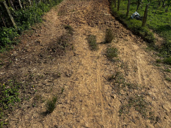 3 Acre Agricultural Land for Sale – Mudigere(Chikkamagaluru District)