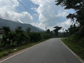 4.5 Acre Highway Approach Coffee Estate for Sale – Mudigere (Chikkamagaluru District)