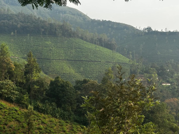 scenic 16 acre property overlooking tea estate and hills with water pond  and natural greenary ideal for investors lokking to rvive a coeffe estate