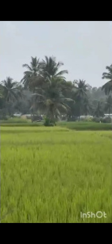 premimum 30 guntha land very close to bengaluru mysore highway perfect for investment garmhouse or future commercial development