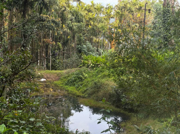 106 acre well established coeffe estate with bungalow excellent yeild of coeffe pepper and areca perfect for premium estate investors and agri