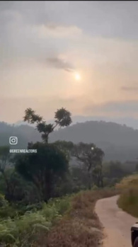 beautiful mzdikeri estate with strong coeffe yeild pond scenic views and top class road frontage pefect for investment or resort