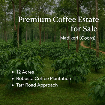 12 acre premium coeffe estate fpor sale near madikeri