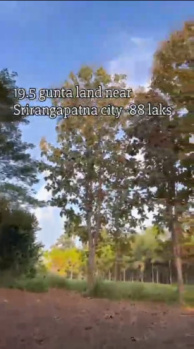 19.5 kunte land for sale srirangapatna near mysuru