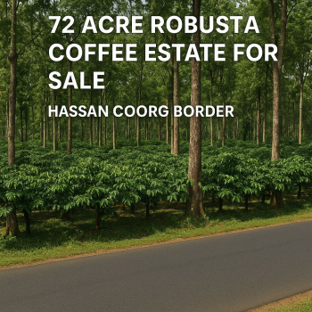 72 acres robusta coeffe estate for sasle hassan coorg
