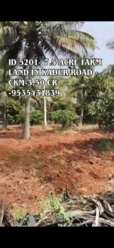 7.5 acres farmland for sale near sakarayapatna  kadur chikkamagaluru