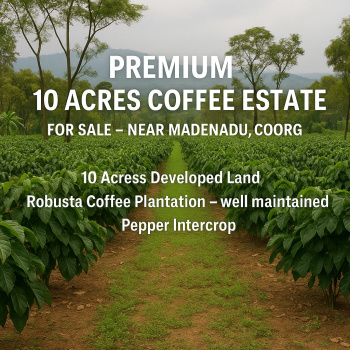 premium 10 acres coeffe estate for sale near madenadu coorg